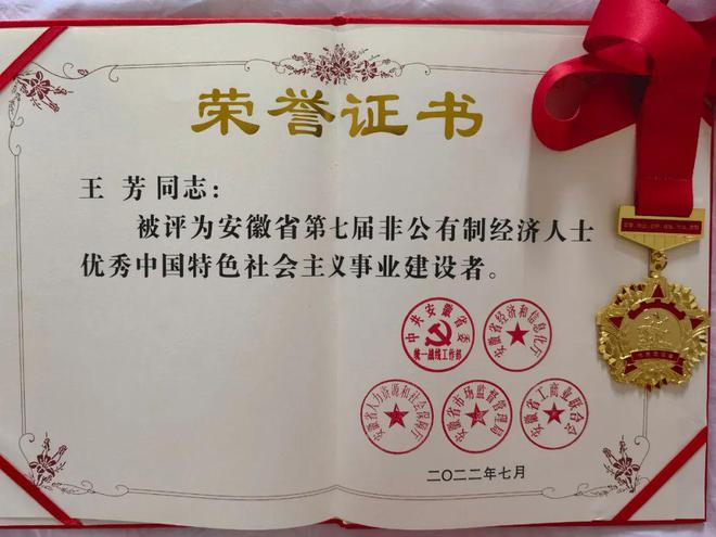 六安市爱心妈妈公益协会王芳会长荣获安徽省第七届**建设者称号(图3)